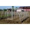 PVC plastenik 3,20m * 6,00m